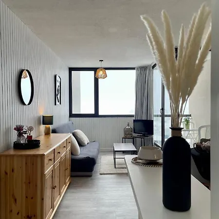 Apartment Au Coeur De La Station De Super-besse