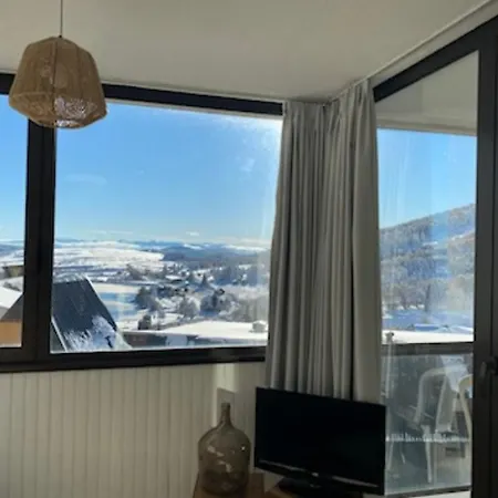 Au Coeur De La Station De Super-besse Apartament Besse-et-Saint-Anastaise